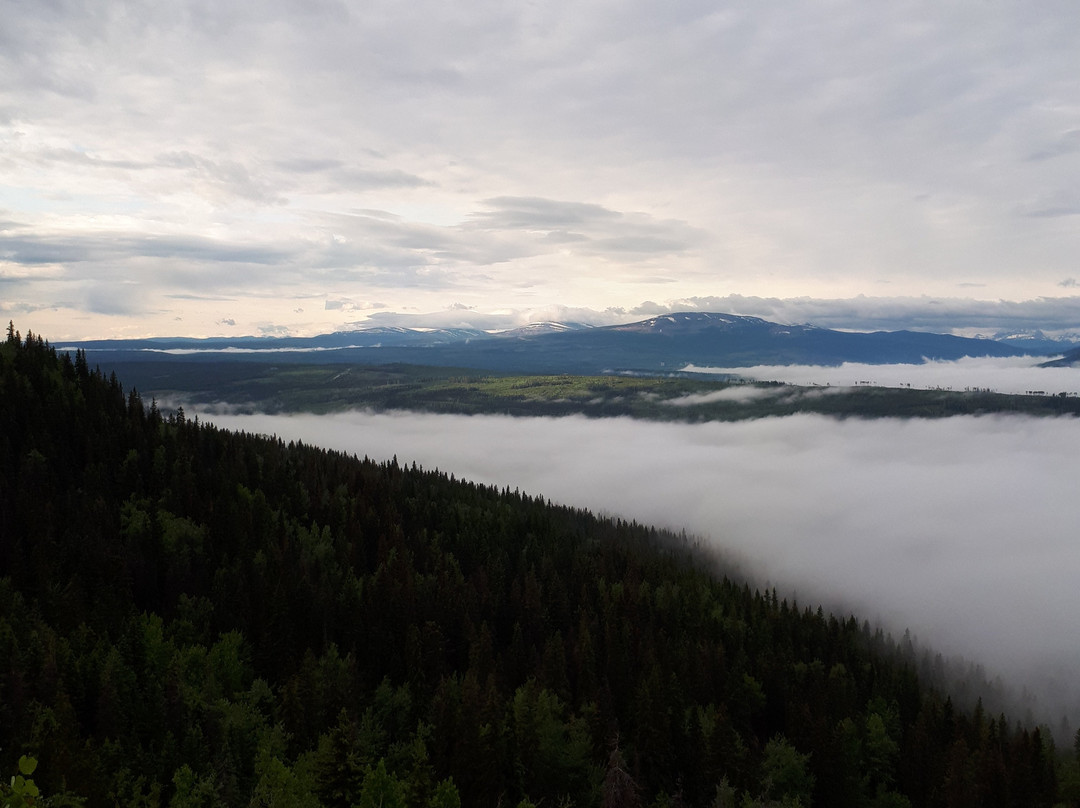 The Bald Spot-Tumbler Ridge必去景点
