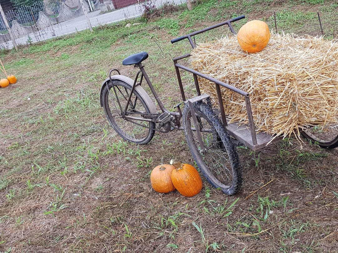 Tulipania-Terno d'Isola必去景点