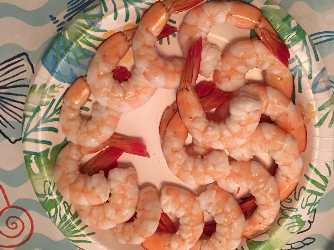 Edisto Shrimp Boat Charters-埃迪斯托艾兰必去景点