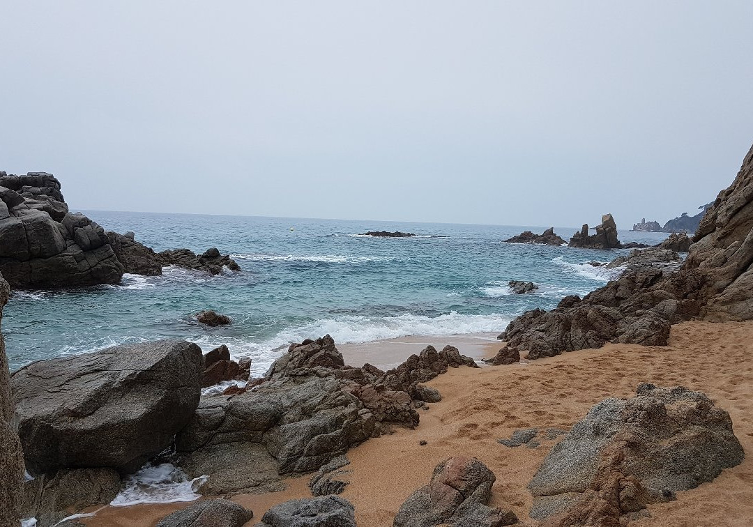 Playa Cala Sa Boadella景点图片