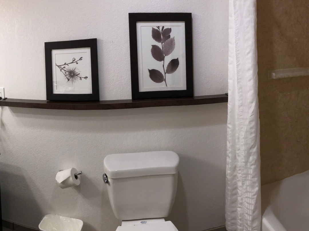 Country Inn & Suites by Radisson, Chippewa Falls, WI主图