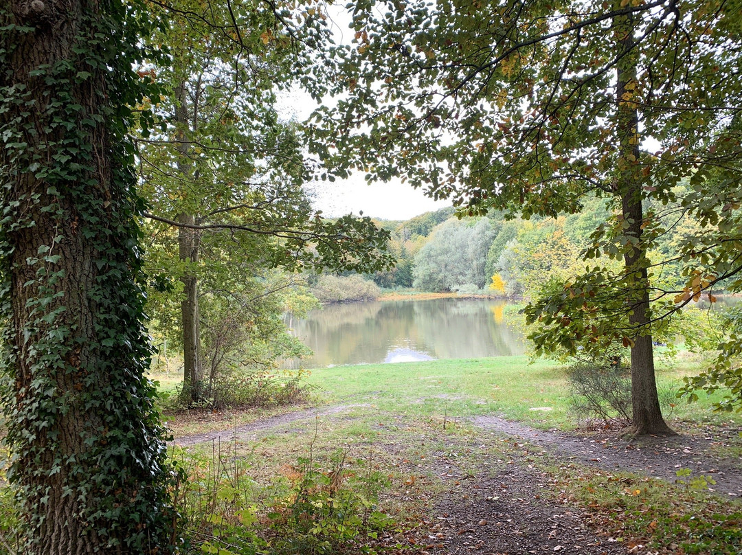 Forêt Domaniale de Meudon-默东必去景点