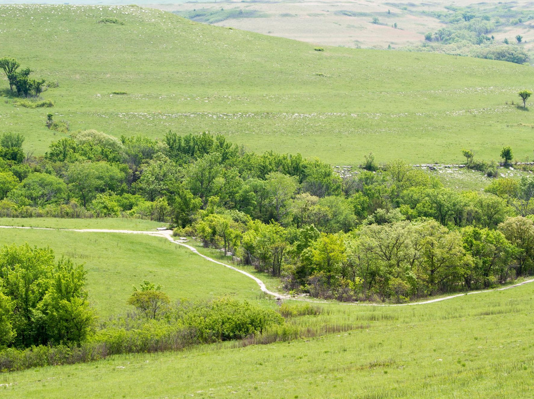 Konza Prairie Research Natural Area景点图片