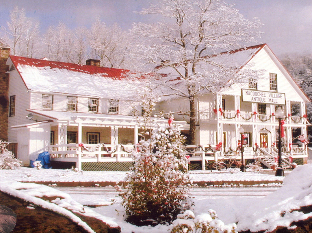 Nacoochee Village Antique Mall