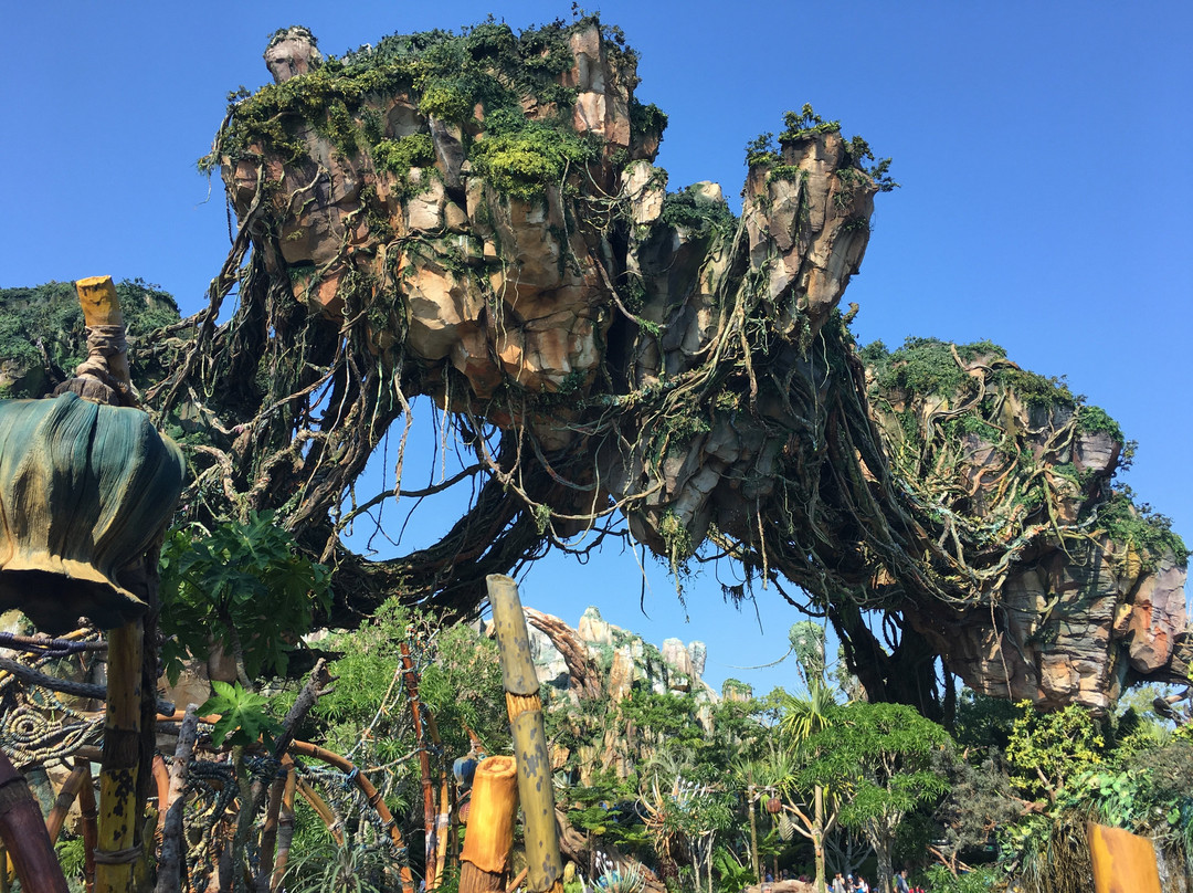 Avatar Flight of Passage-Lake Buena Vista必去景点