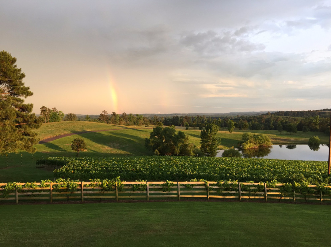 Hallsville旅游景点-Enoch's Stomp Vineyard & Winery