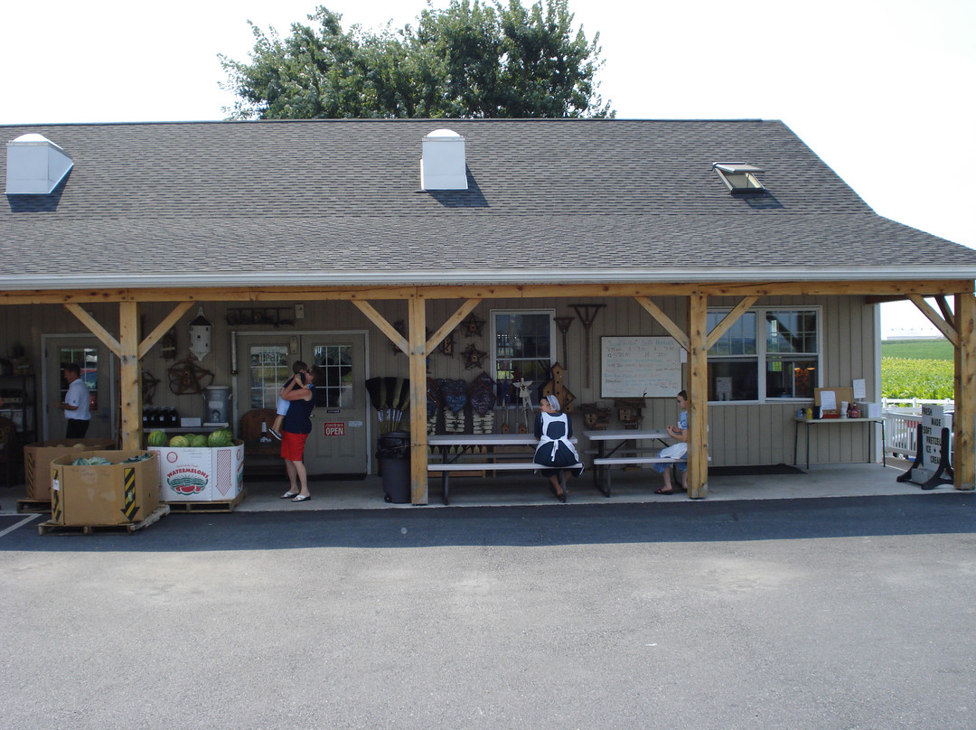 Countryside Road Stand-Ronks必去景点