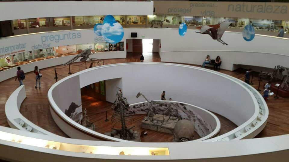 Museo De Ciencias Naturales Arturo Illia景点图片