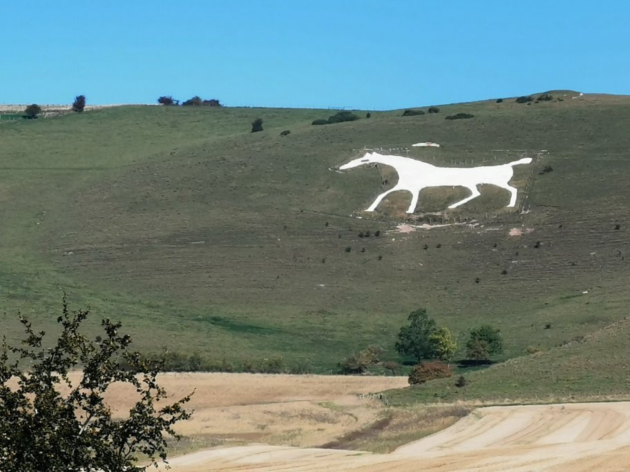 Alton Barnes White Horse景点图片