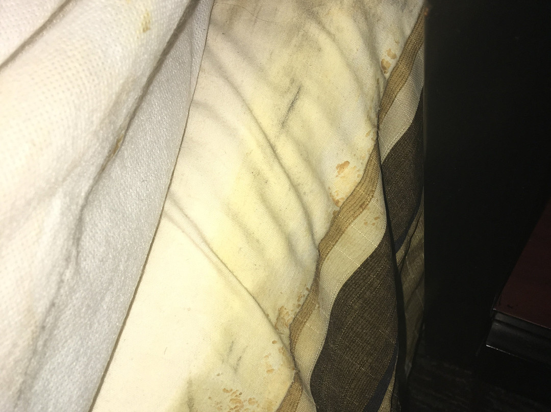 Rodeway Inn Bronx Zoo主图