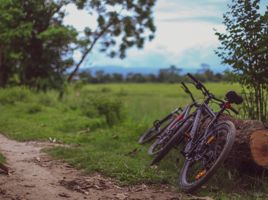 Kaziranga Cycle Tours景点图片