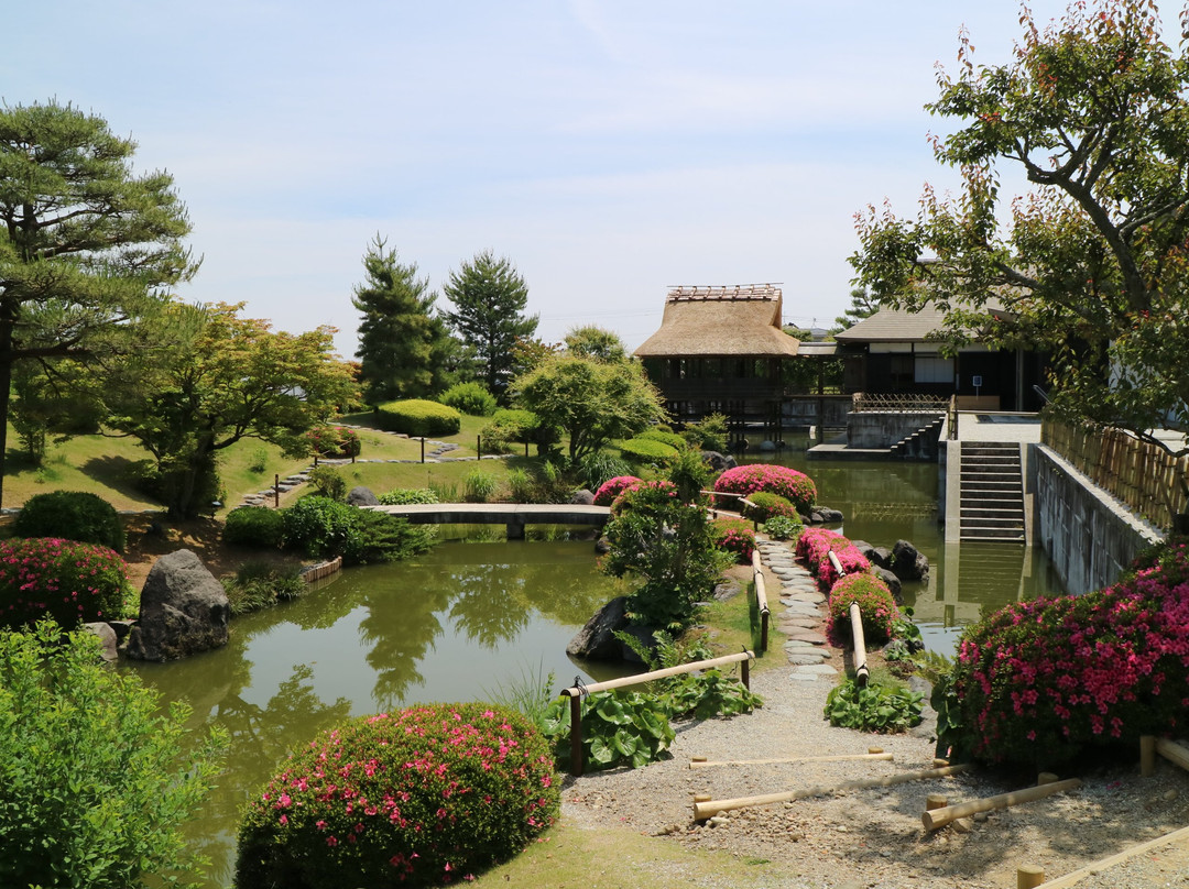 Tea Museum, Shizuoka景点图片