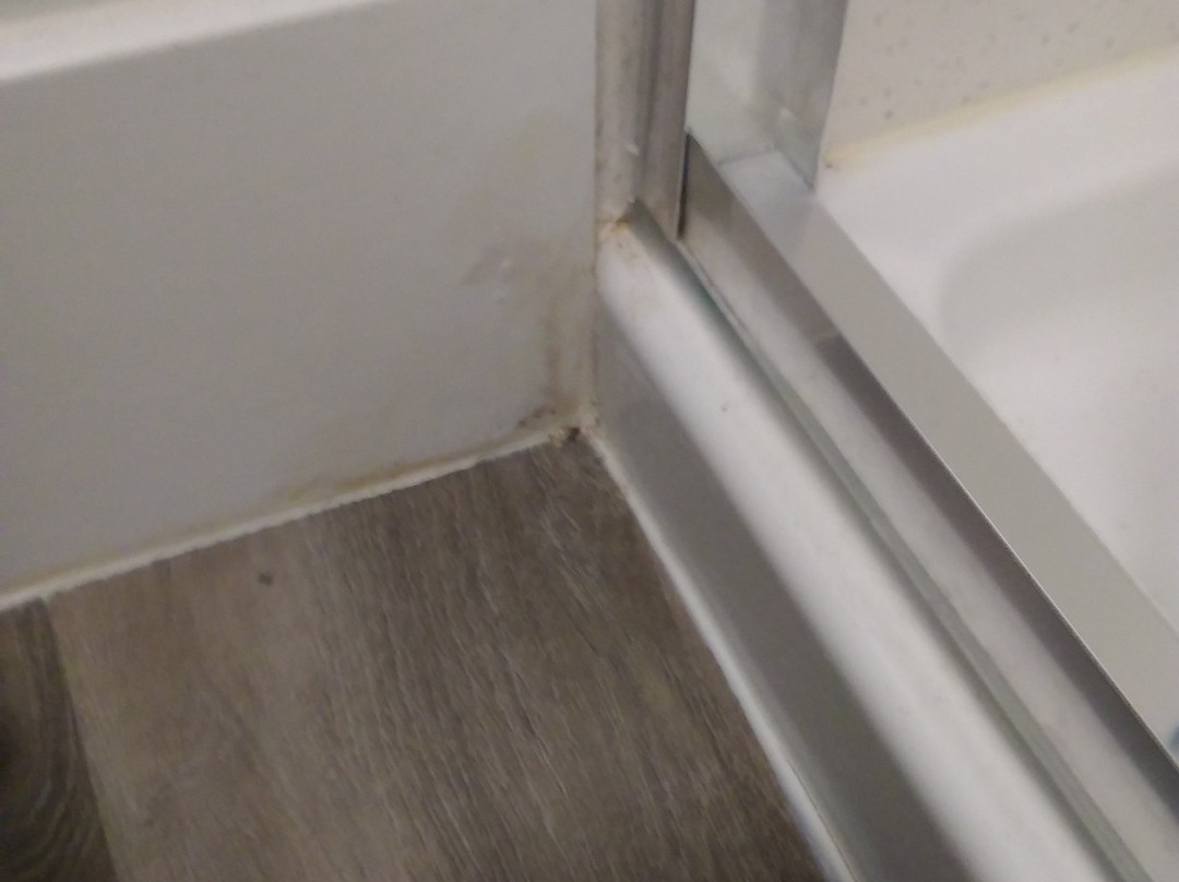 Best Western Plus Dana Point Inn-By-The-Sea主图