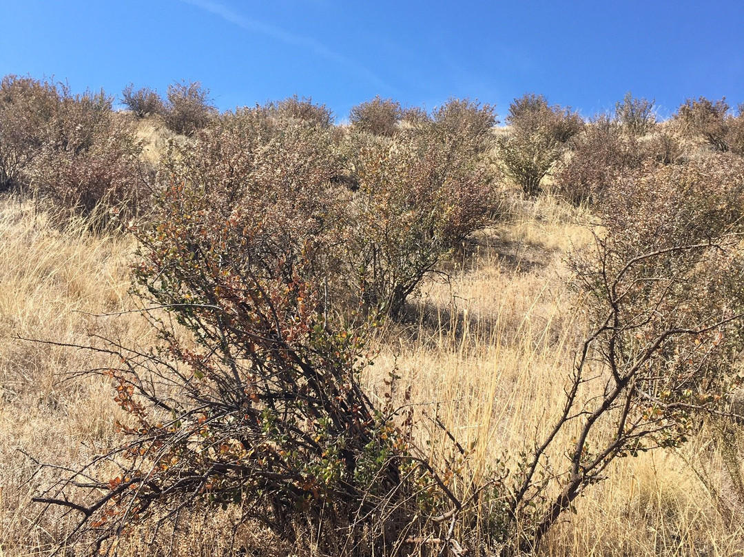 Devil's Backbone Open Space-拉夫兰必去景点