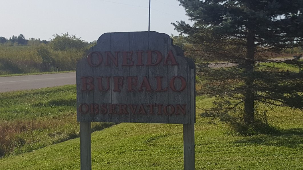 Buffalo Overlook-Oneida必去景点