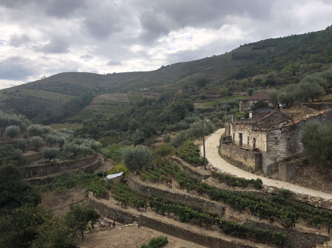 Quinta do Infantado-Vila Real必去景点