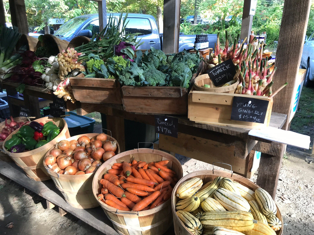 Brattleboro Farmers' Market-布拉特尔伯勒必去景点