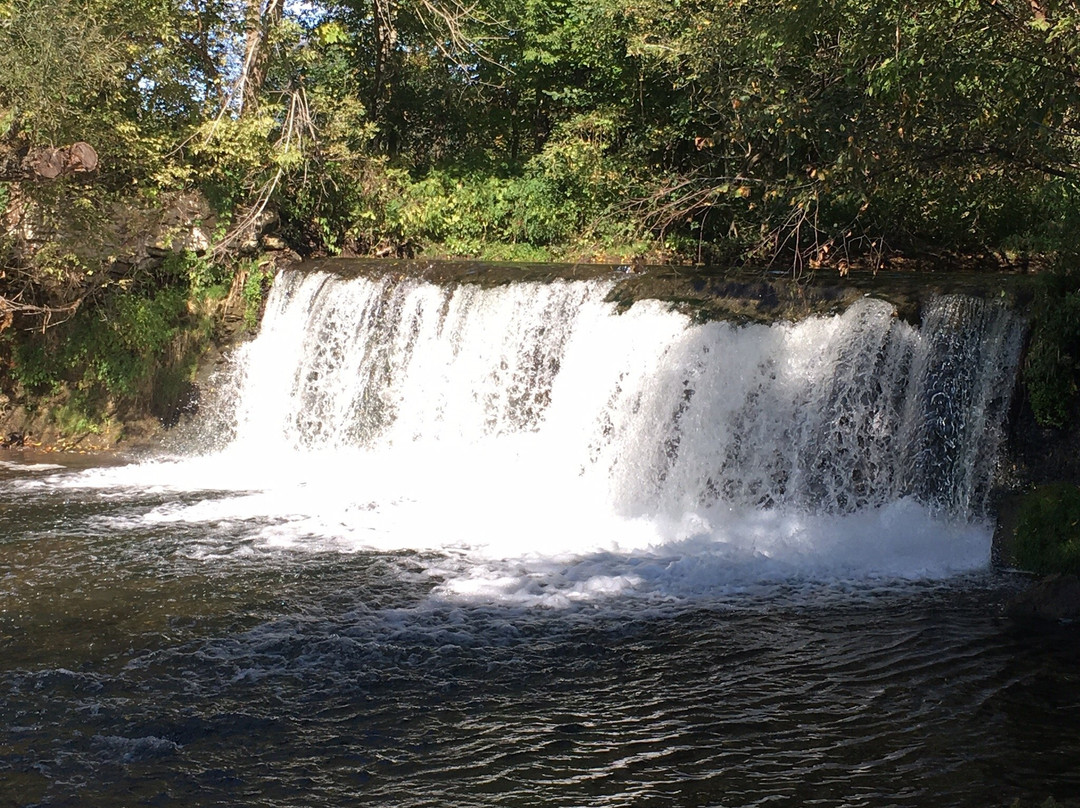 Lynn River Falls景点图片
