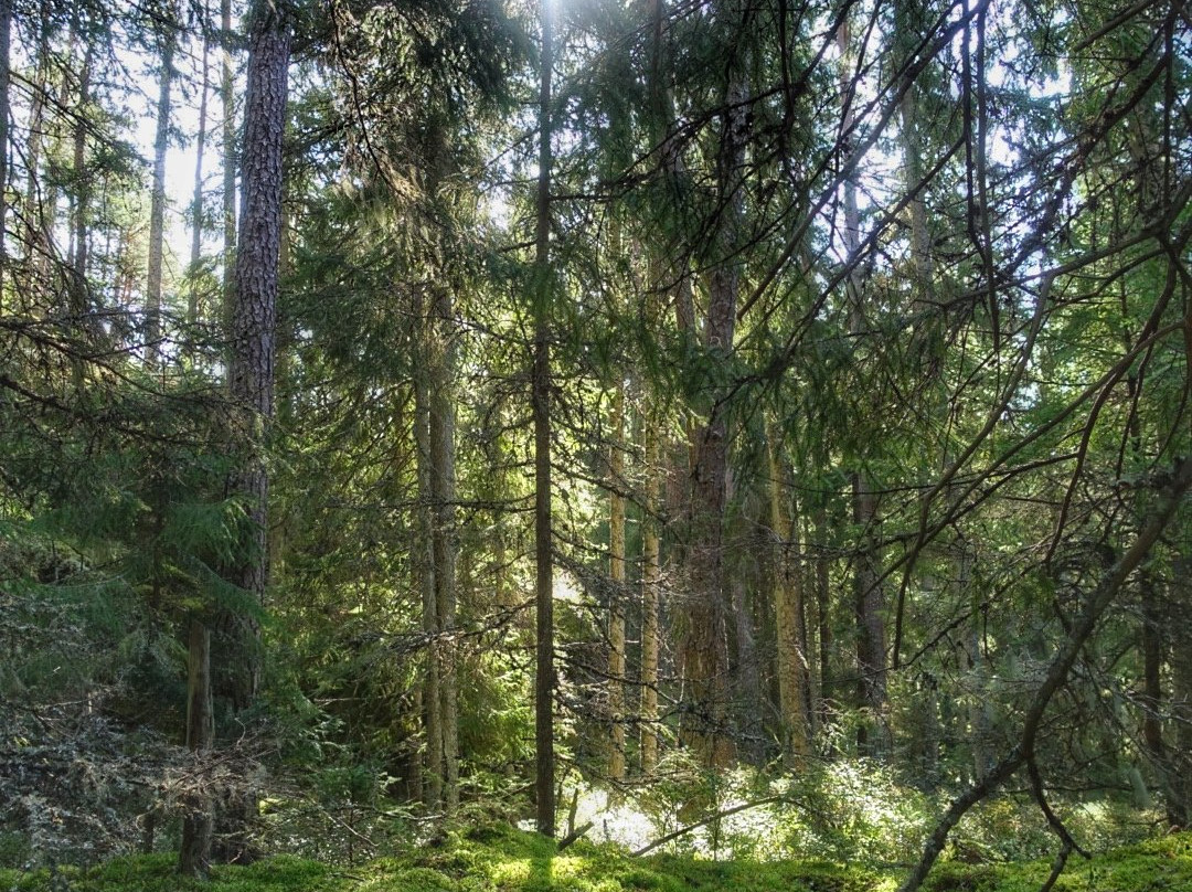 Tiveden Nationalpark-Karlsborg必去景点