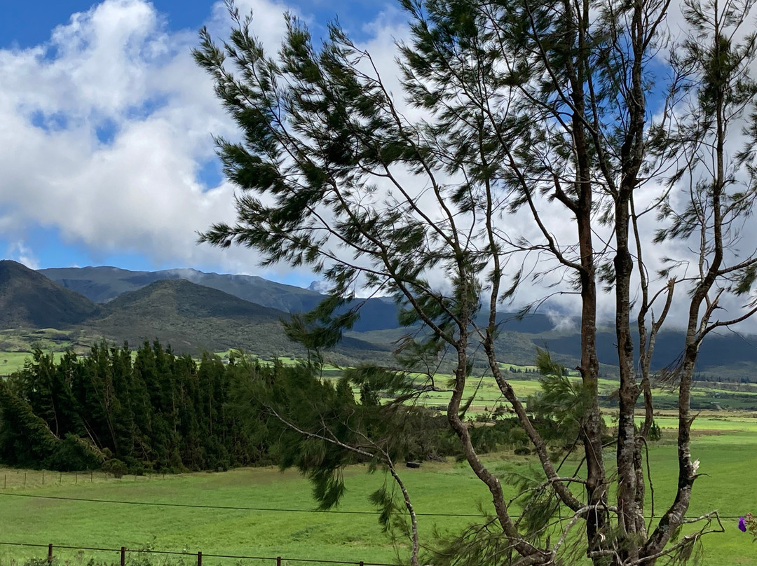 Route De Cilaos景点图片
