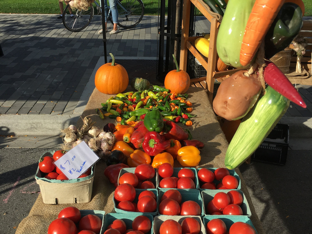 Penticton Farmers' Market-彭蒂克顿必去景点