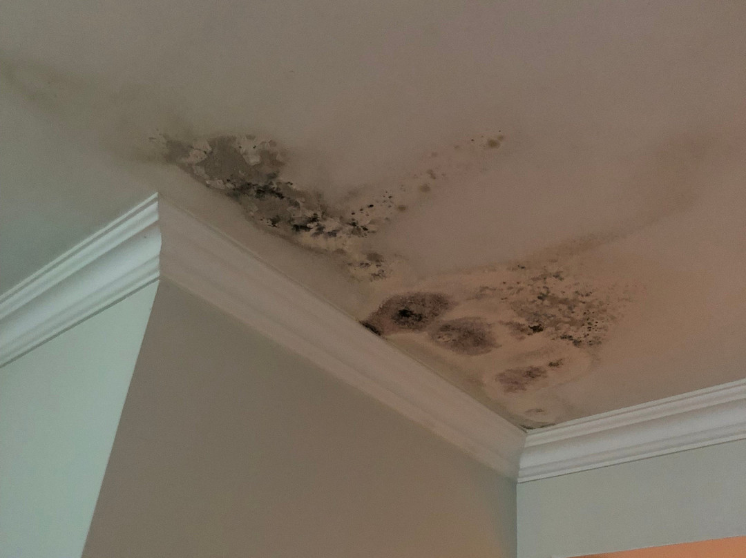 Luna Hotel Zombo主图