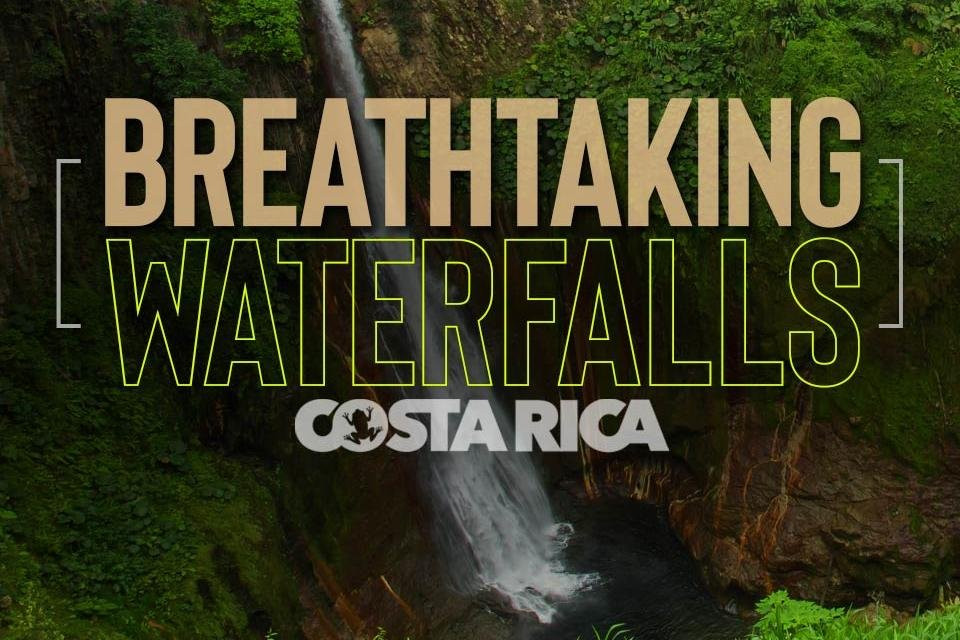 Costa Rica Dream Adventures景点图片