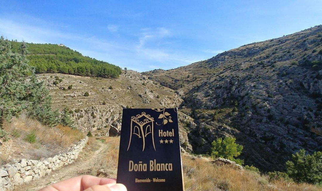 Hotel Dona Blanca主图