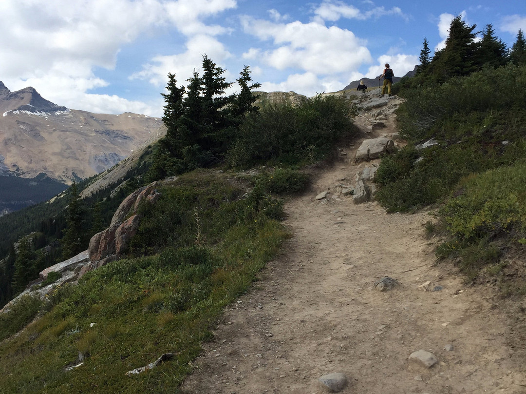 Wilcox Pass-贾斯珀国家公园必去景点