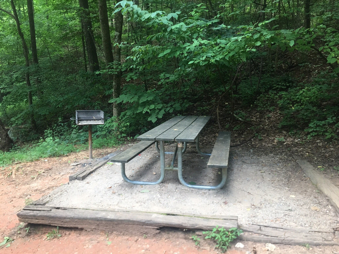 Base of the Falls Trail-道森维尔必去景点