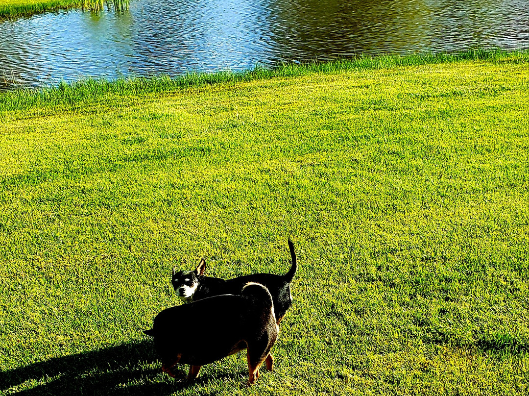 WorldMark Bison Ranch主图