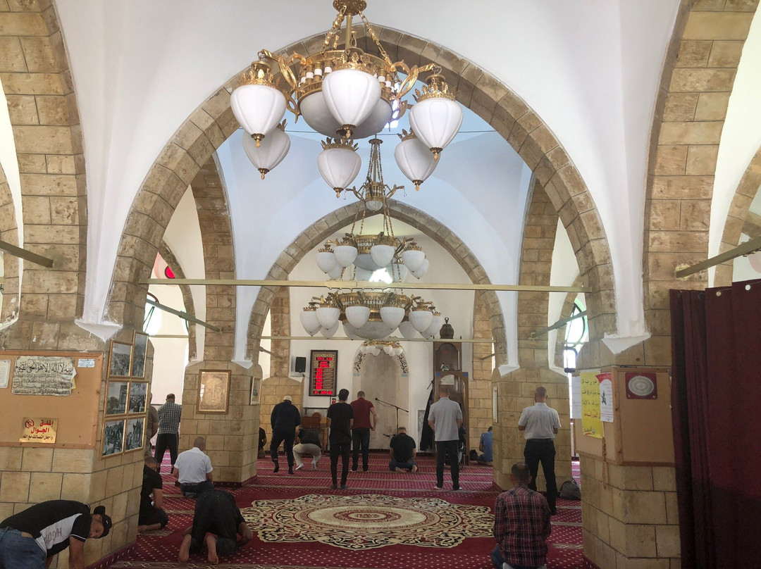 Al-Bahr Mosque景点图片