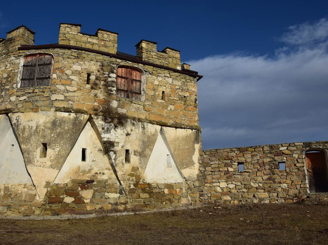 Krasnogorsk Watchtower