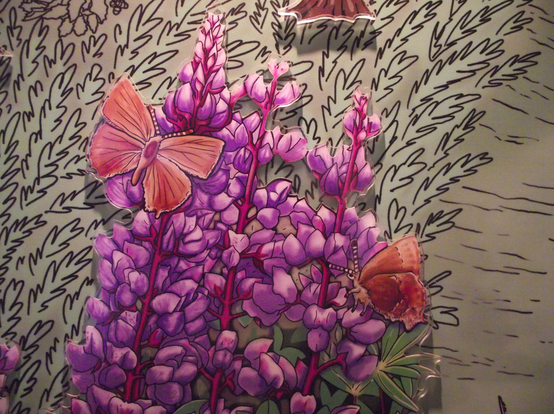 Albany Pine Bush Preserve-奥尔巴尼必去景点