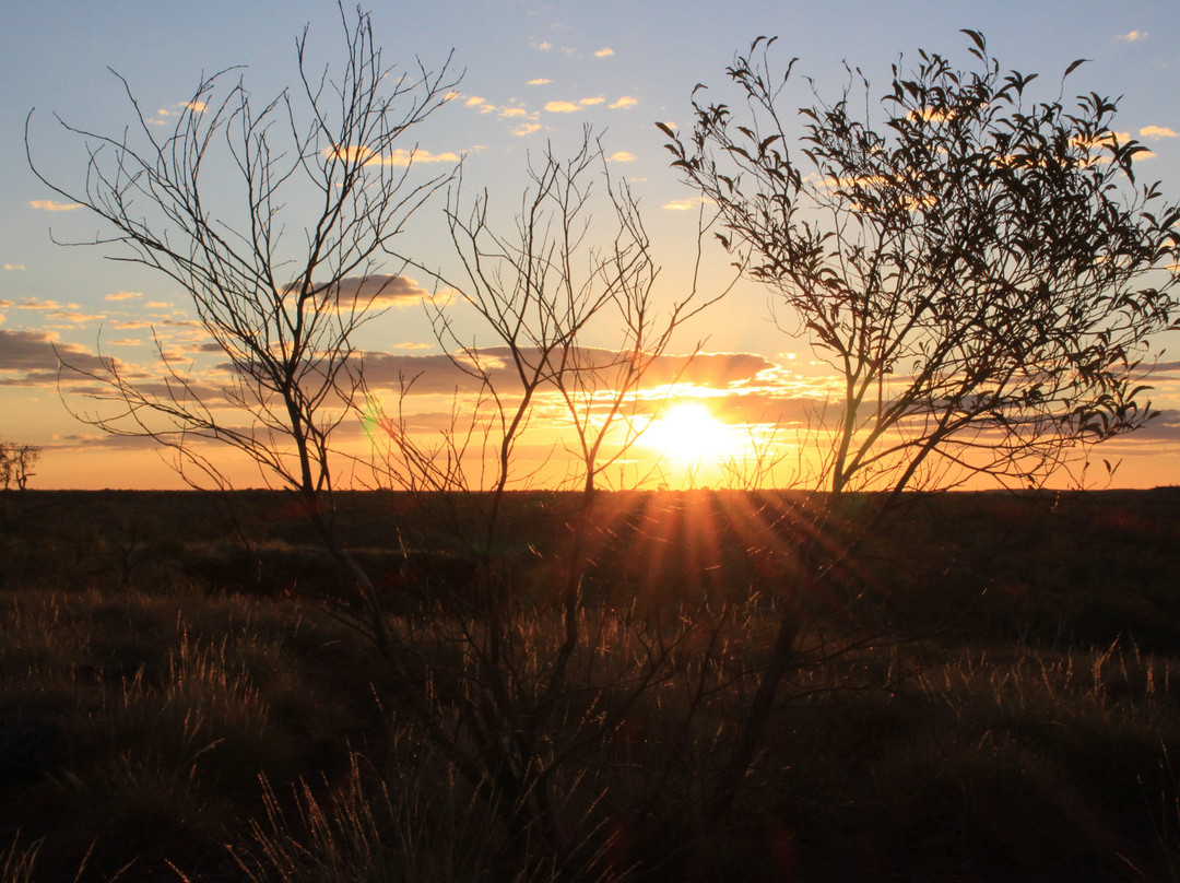 Millstream-Chichester National Park-卡拉萨必去景点