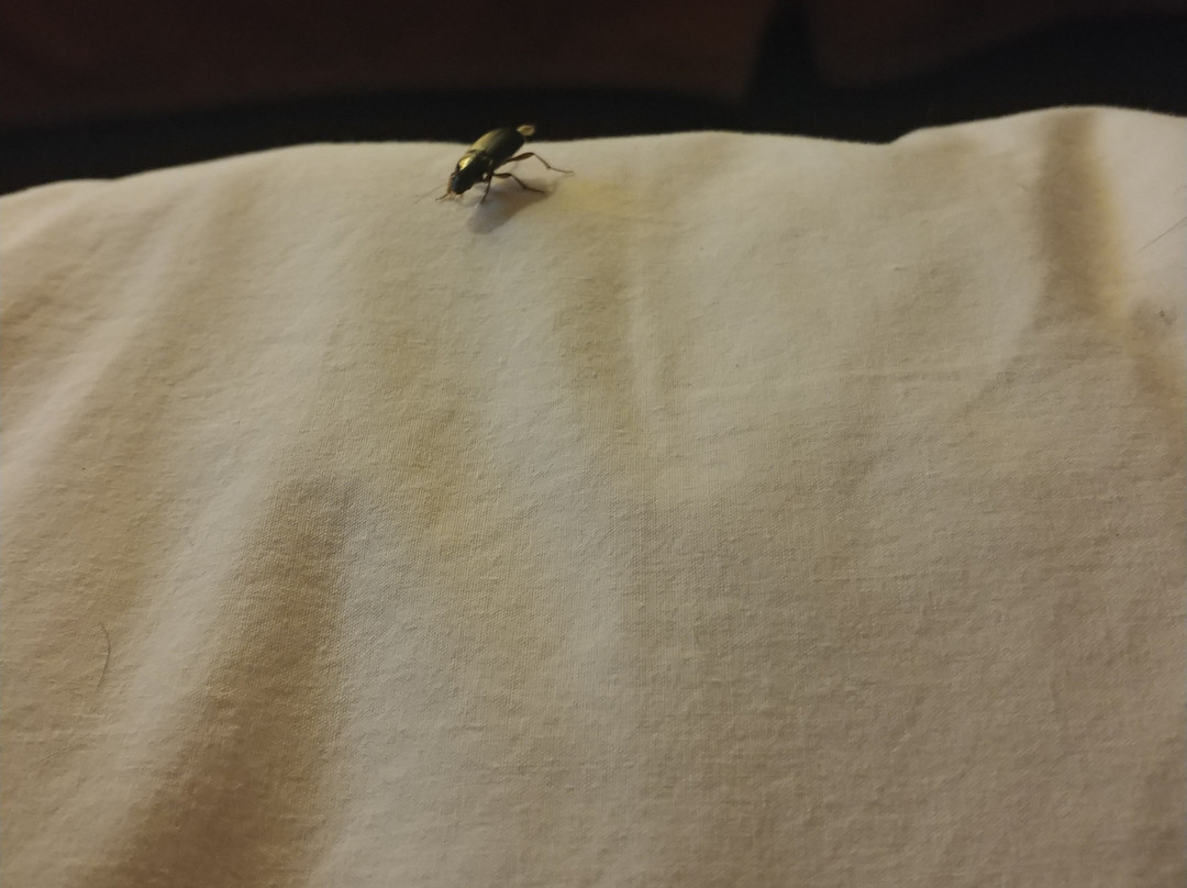 Ayres Hotel Redlands - Loma Linda主图