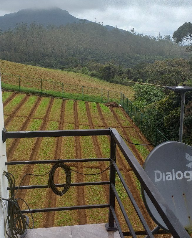 Tranquil Villa主图