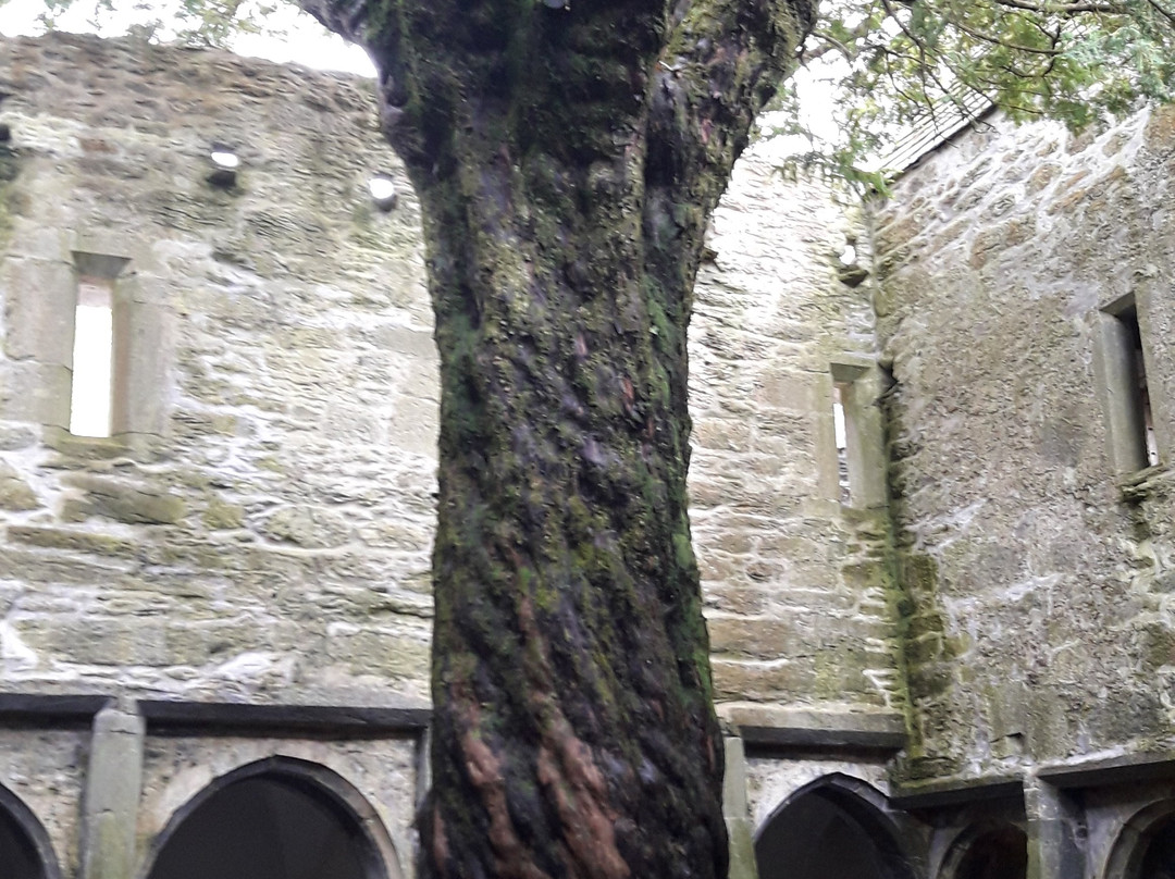 Muckross Abbey-基拉尼必去景点