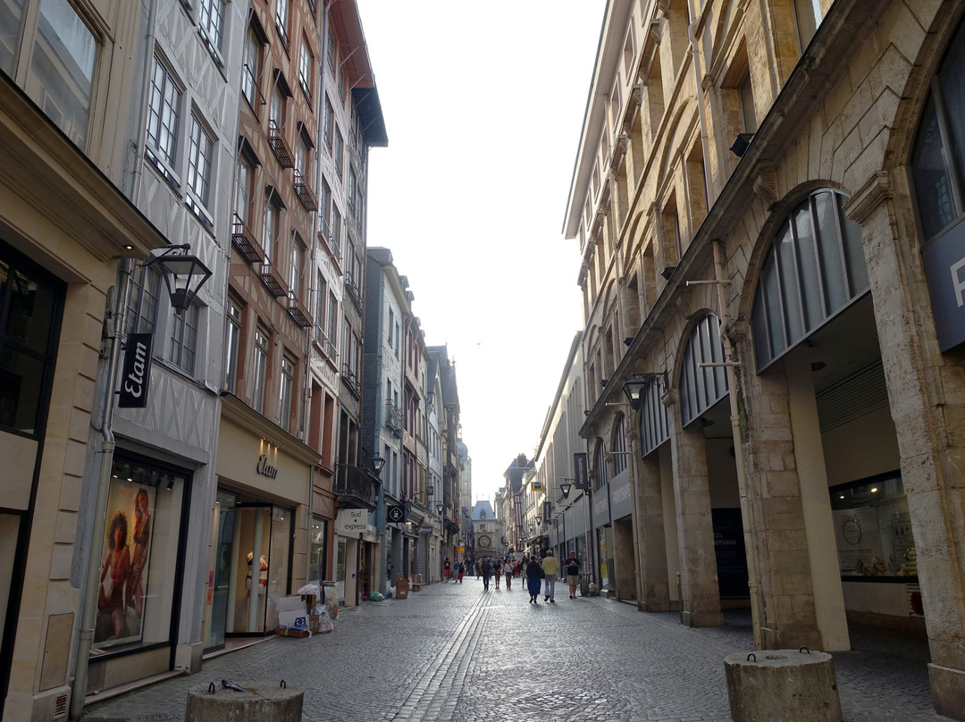 Rue du Gros-Horloge景点图片