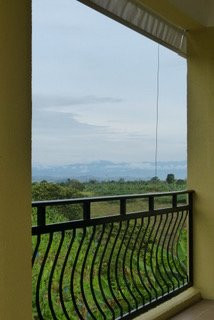 Hotel Finca Los Mangos主图