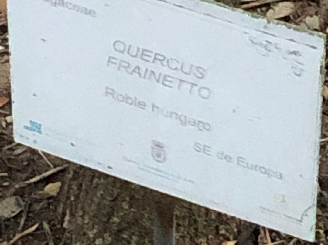 Jardín Botanico Celestino Mutis-罗塔必去景点