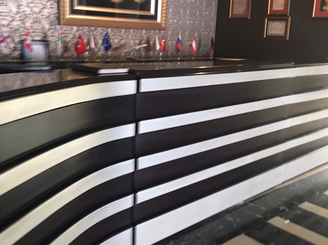 萨姆松机场度假酒店主图