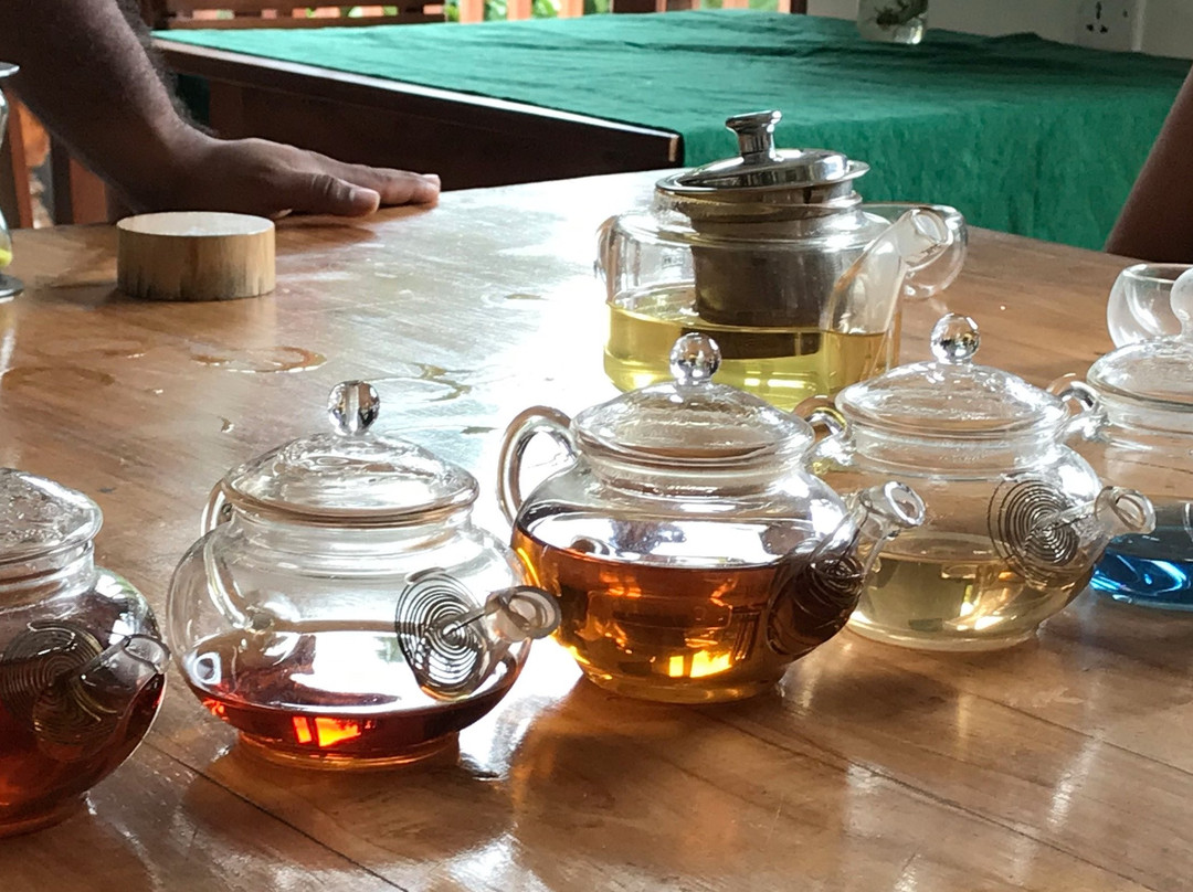 Amba Estate Farmstay主图