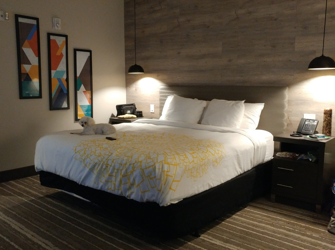 La Quinta Inn & Suites by Wyndham McDonough主图