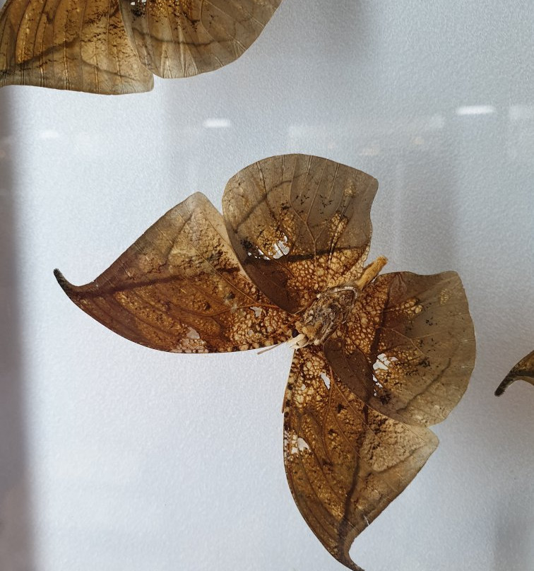 Bandi Land-茂朱郡必去景点