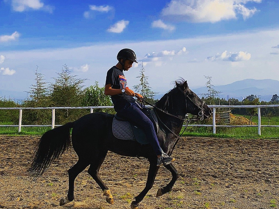 Beka Ferda Ranch景点图片