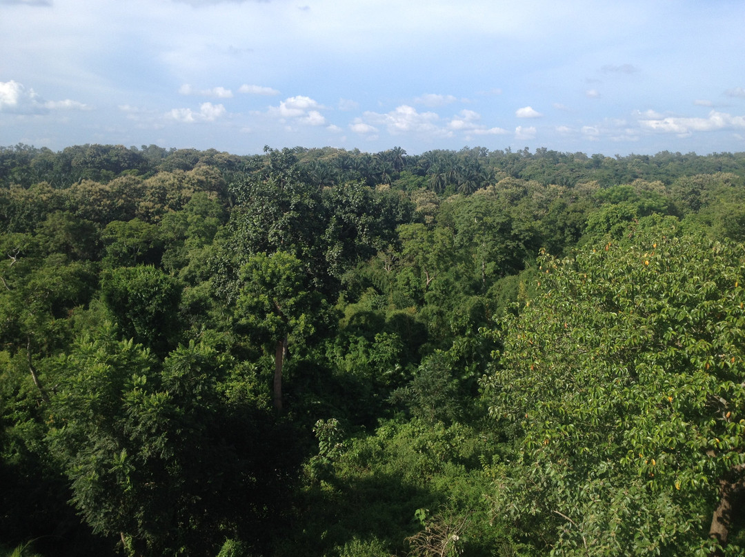 Satchari National Park景点图片