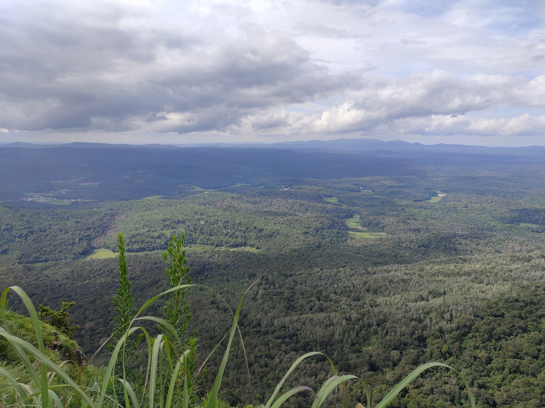 Needle Rock View Point-Gudalur必去景点