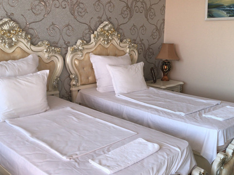 Hotel Elit Palace and Spa主图