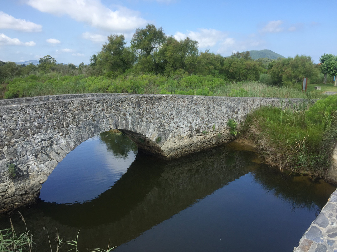 Parque natural de las Marismas de Santona景点图片